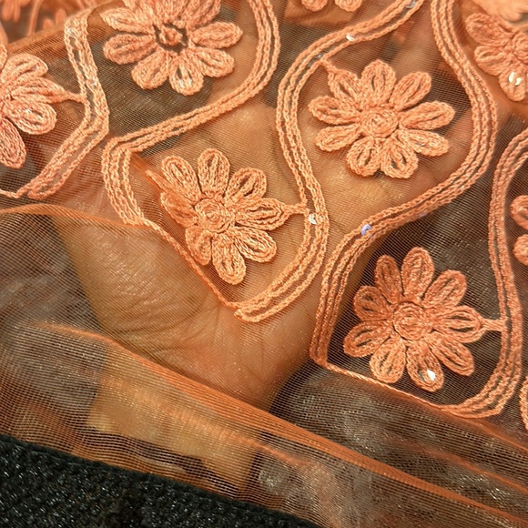 Grey and peach net saree - Picture 3 of 3